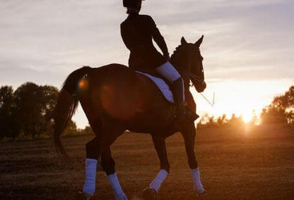 Horseback riding in Ranch Estates.